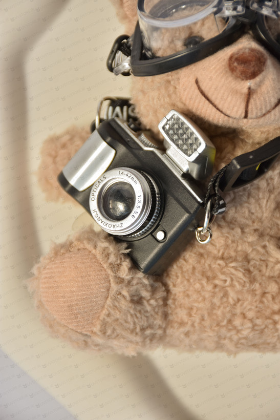 آویز کیف چارم بگ تدی عکاس