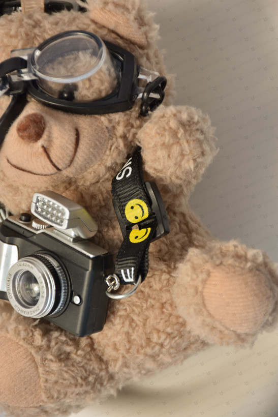 آویز کیف چارم بگ تدی عکاس